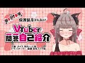 🐾❤【新人Vtuber】Vtuber一問一答自己紹介【田中Maria幸胡】🐾❤