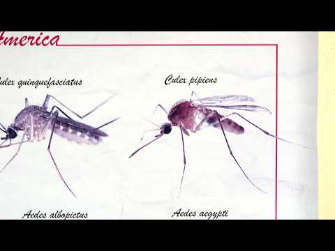 See some of the mosqutio trapping tools used in Modesto