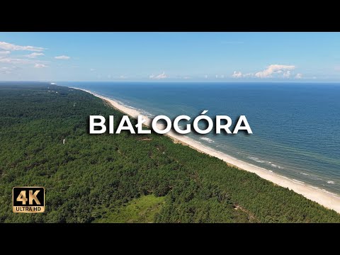 Białogóra z drona
