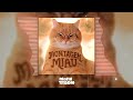MONTAGEM MIAU SUPER SLOWED LENAR