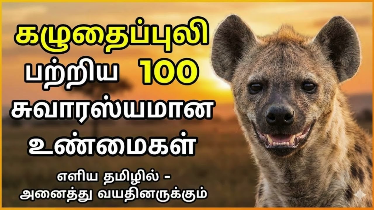 கழுதைப்புலிகள் பற்றிய 100 சுவாரஸ்யமான தகவல்கள்