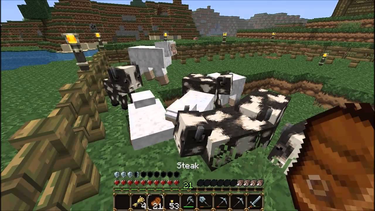 Minecraft -- Let's Play Survival Ep. 8 : Repopulation - YouTube