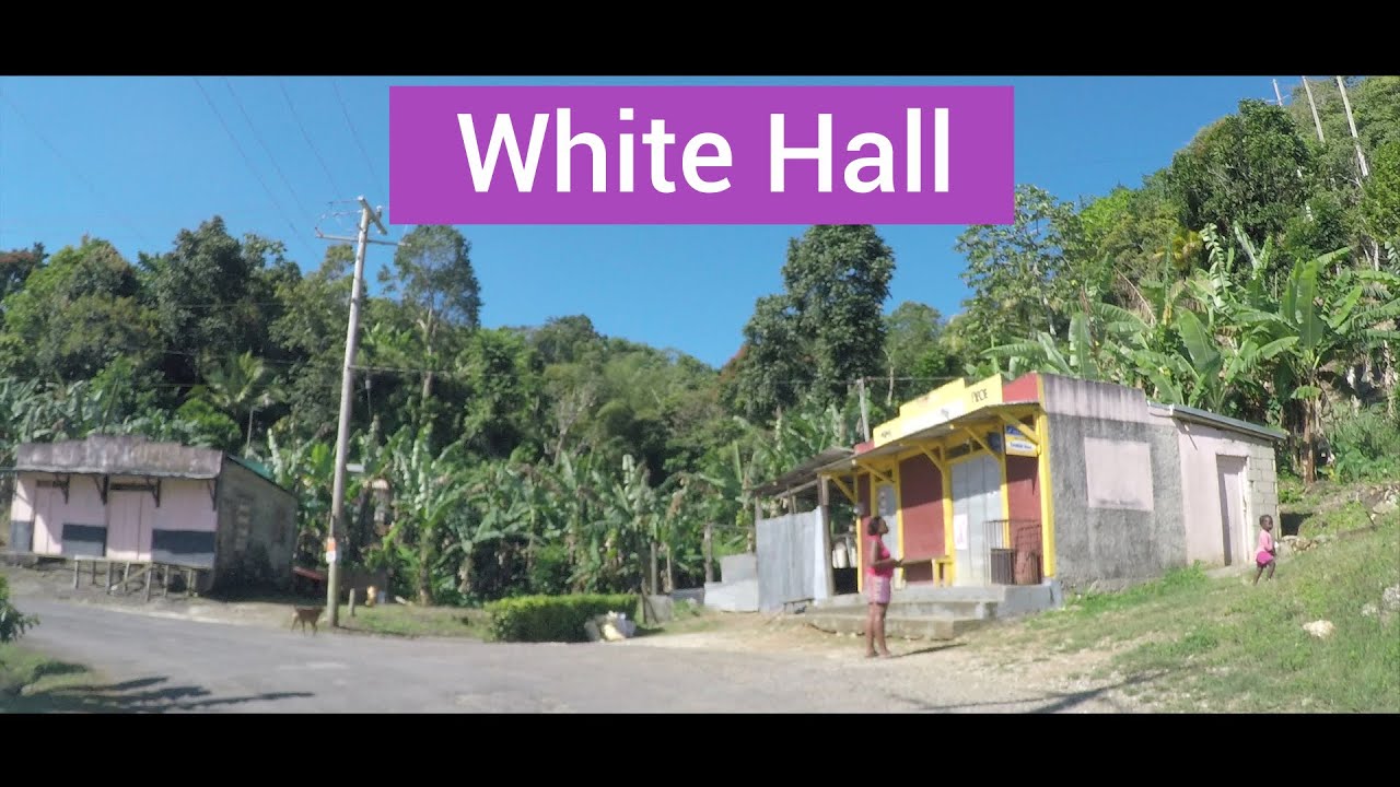 White Hall, St Ann / St Mary, Jamaica - YouTube