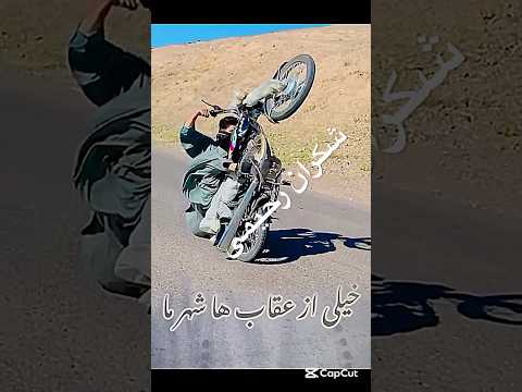 تکچرخ شکران رحیمی گرگ تکچرخ افغانستان داخل هرات تکچرخ سدیس هرات شکران رحیمی 