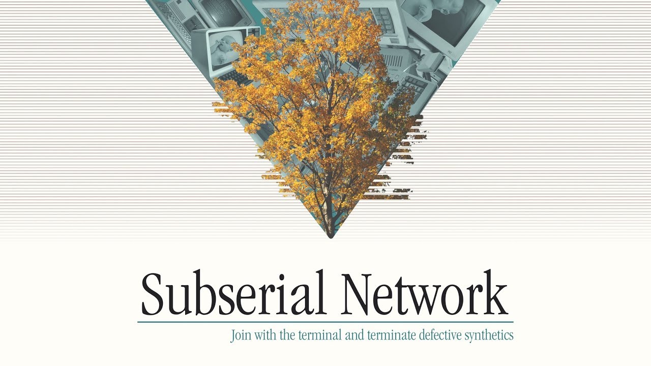 video Subserial Network