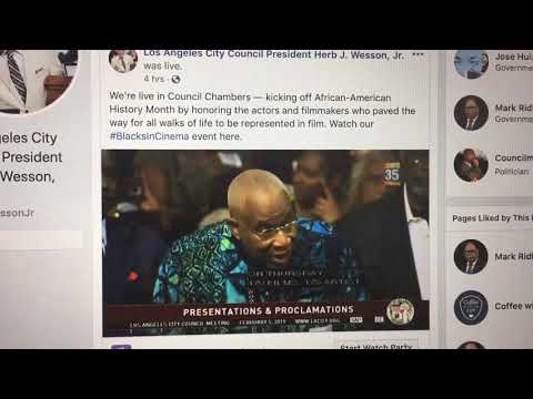 Stephanie Linus  speaks at the Los Angeles City council.