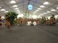Tahitian dance (Heiva 2012)