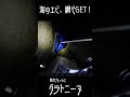 誰でもできる！夜なら海エビ簡単大漁ゲット！！