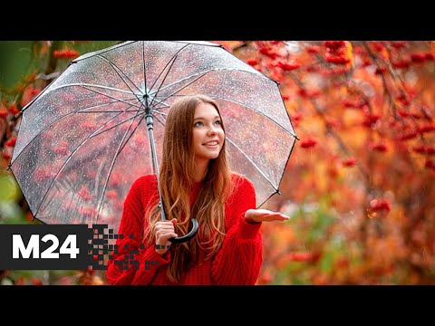 Экозонт. "Городской стандарт"