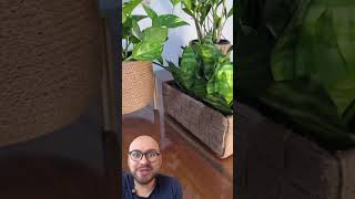 Como aproveitar vídeos para transformar em vaso de plantas