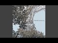 Garden of Stone