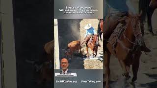 Illinois Animal Abuse Continues