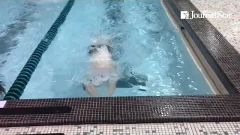 VIDEO: Area leaders display odd strokes: breast (D...