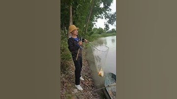 Câu Lăng Xê ( Lancer ) Được Cá Chép Đẹp Mãn Nhãn | #Shorts