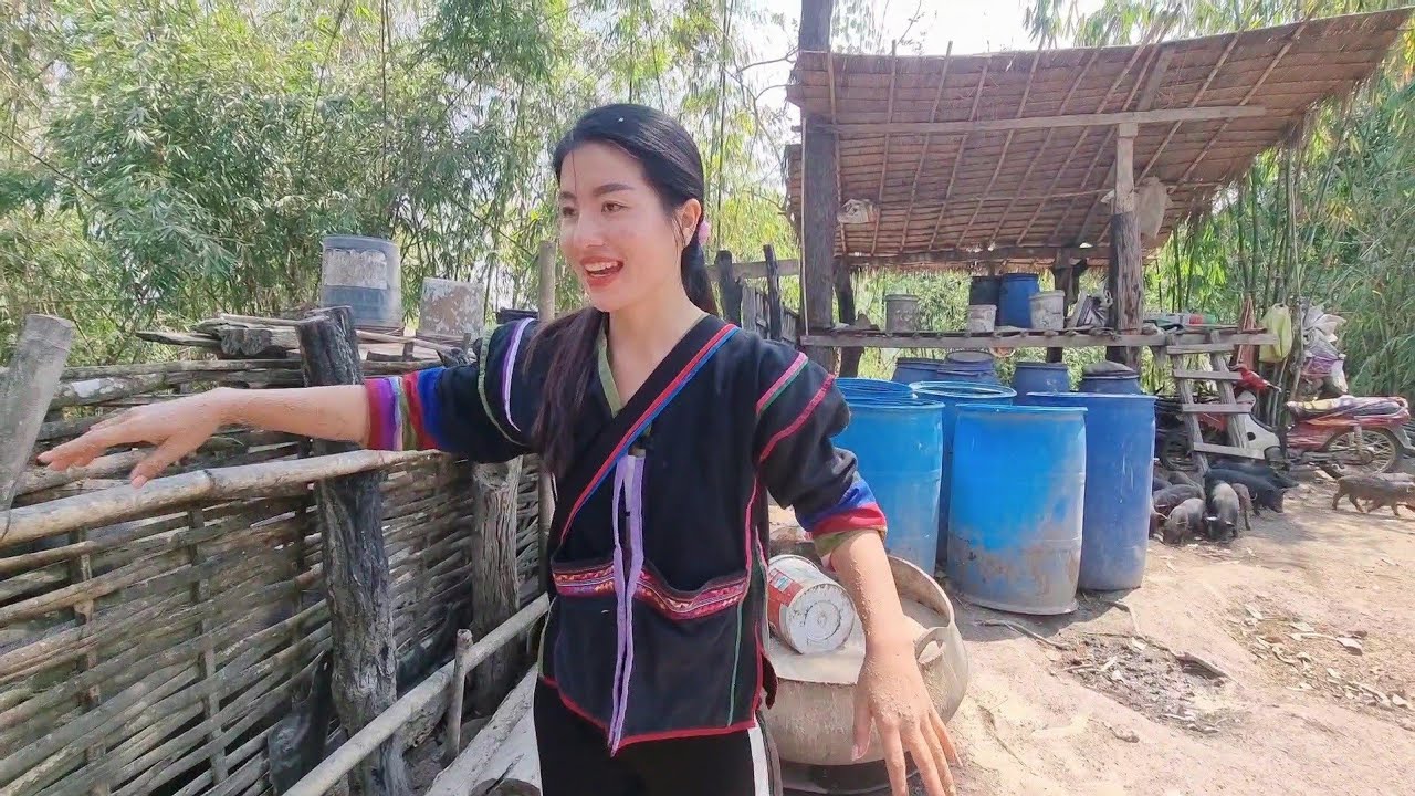 EP.140 เลี้ยงหมูป่าให้แข็งแรงอารมณ์ดี.🐷🥰♥️ #ธรรมชาติ #วิถีชาวดอย