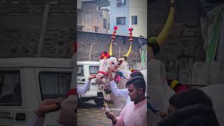 संत ज्ञानेश्वर महाराज पालखी सोहळा 2026 | खिल्लार | #karmalkar #खिल्लार_khillar #palkhi_status