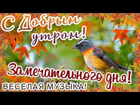 Доброе утро! Замечательного дня!/С ДОБРЫМ УТРОМ! ОТЛИЧНОГО НАСТРОЕНИЯ! Красивая веселая музыка!