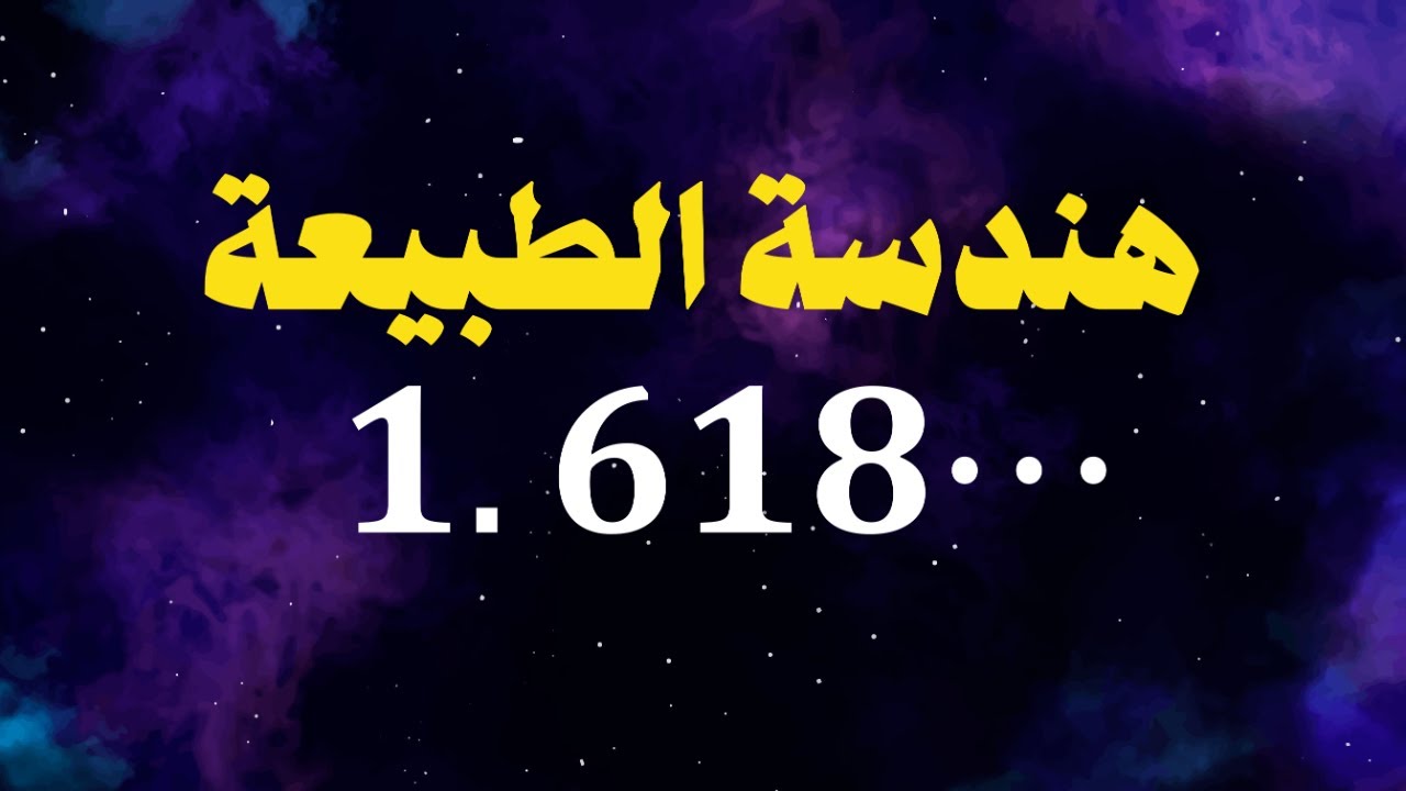 أسرار هندسة الطبيعة لقاء مباشر