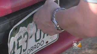 Special Screws Aim To Curb Spike In License Plate Thefts