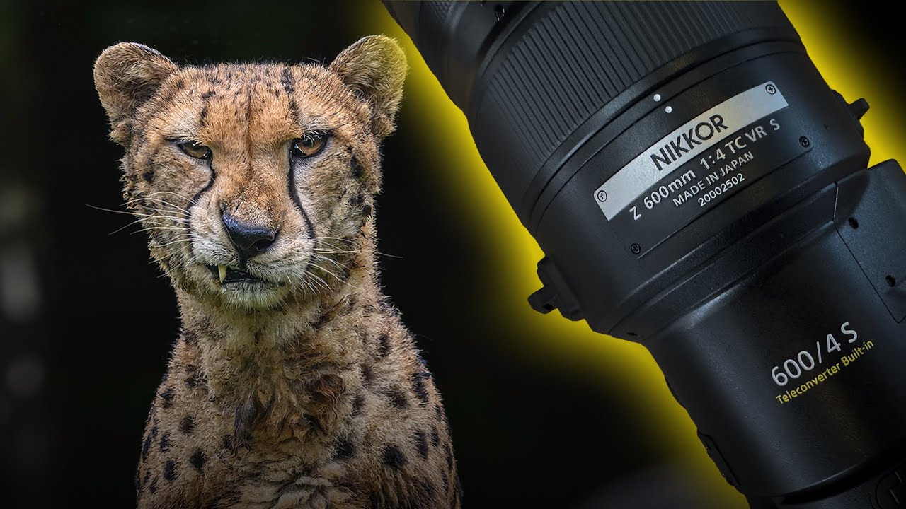 Nikon 600mm F4 Specs Nikon 600mm F4 Specs