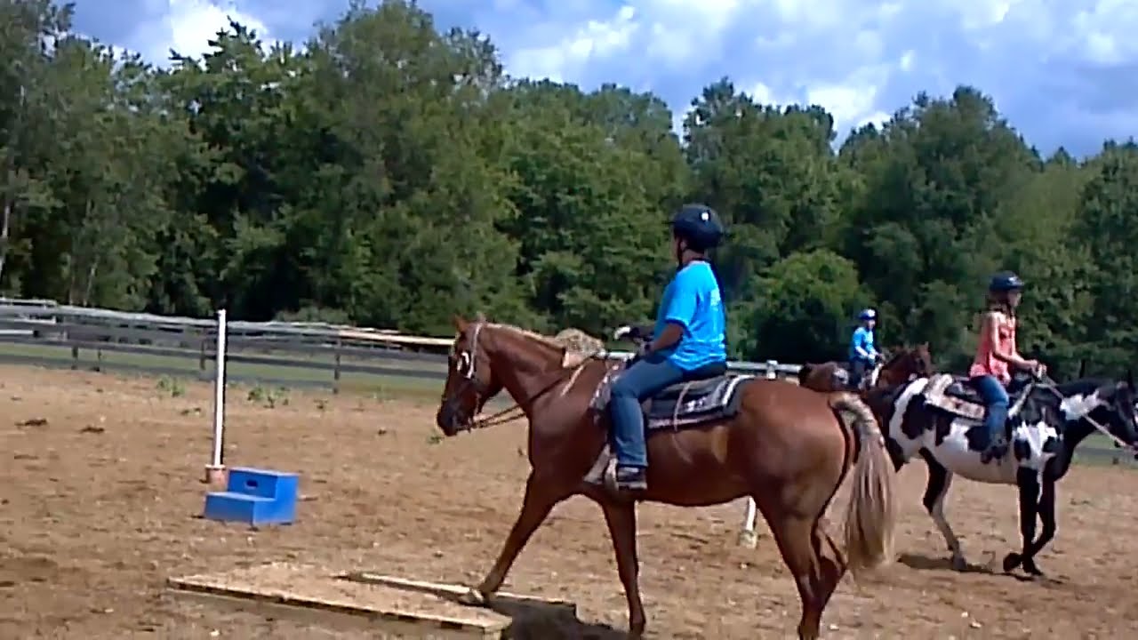 The Gassy Horse at Camp YouTube