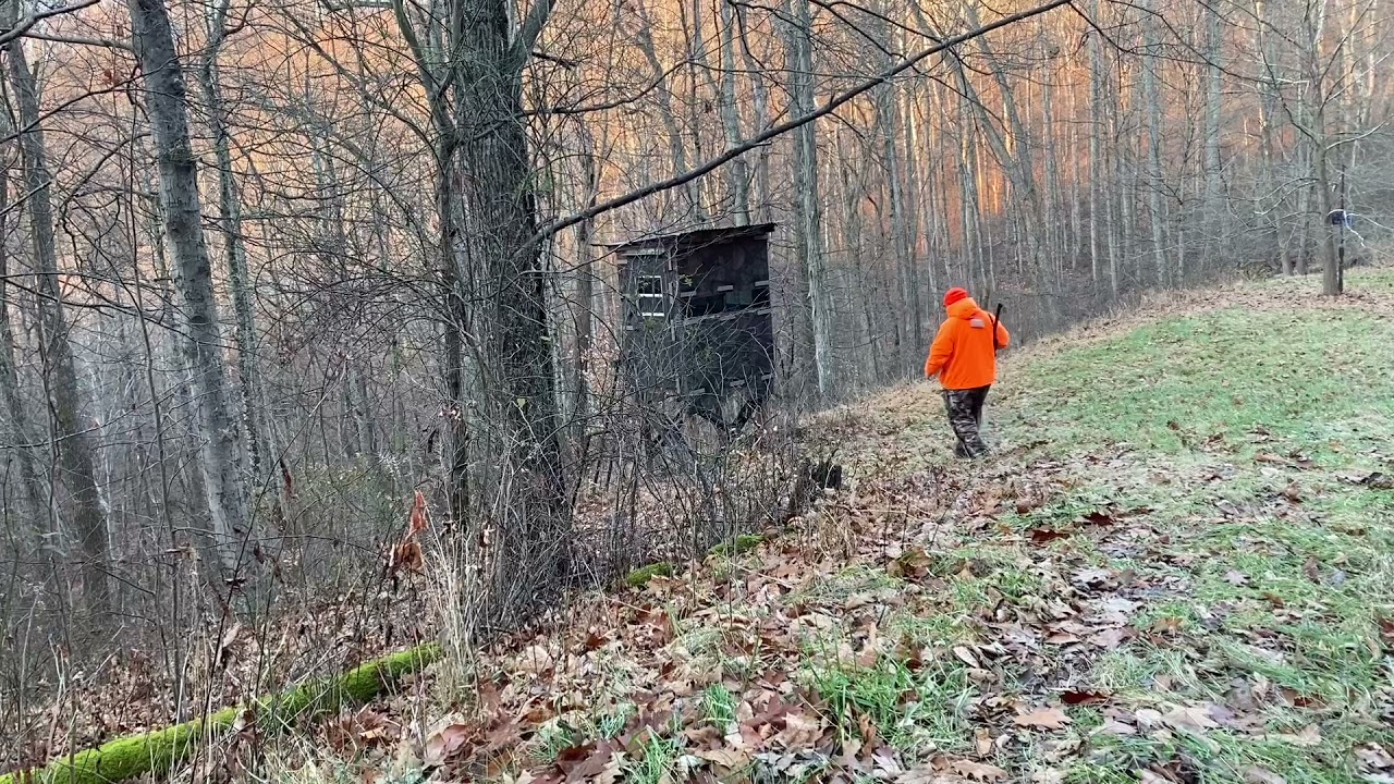 Second week of West Virginia Deer Camp 2021 YouTube