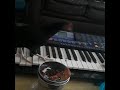 Capture de la vidéo Rooster Plays Piano