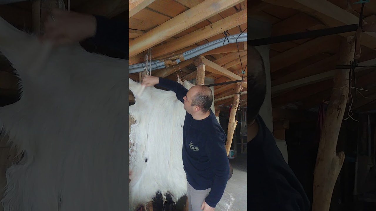 Deri tabaklama 2. gün seccade yolluk yapımı şok