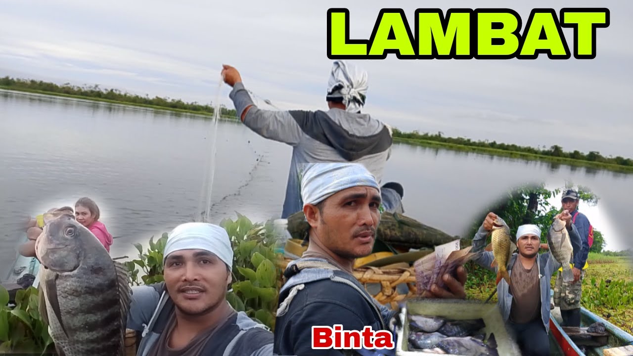 LAMBAT AGUSAN MARSH LAKE