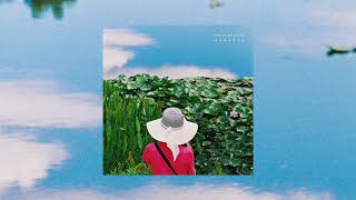 Swiss Portrait - Soft Light (Official Audio) screenshot 3