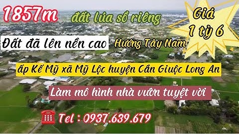 ❤1857m đất lúa sổ riêng chỉ với 1 tỷ 6 chốt hết sổ Mỹ Lộc Cần Giuộc