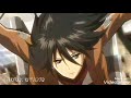 Mikasa Amv Bellyashe