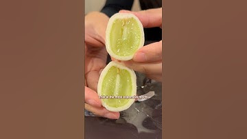 Trying the most EXPENSIVE Mochi