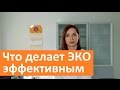 Что делает ЭКО эффективным. ГК Мать и дитя об эффективности ЭКО.