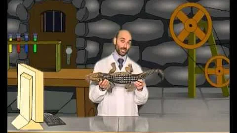 Cosa sono i dinosauri scuola primaria?