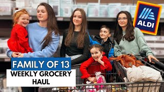 Shop With Us! Weekly ALDI GROCERY HAUL! What is New in 2024 & Recipe