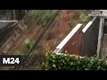 Ливни вызвали сильные наводнения и оползни в Рио-де-Жанейро - Москва 24