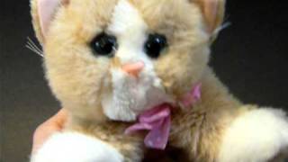 purring kitten toy