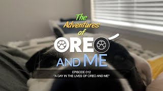 The Adventures of Oreo and Me   Episode 12