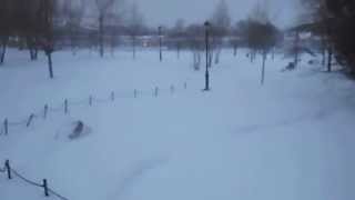 Snow in Malden (Jan. 27, 2015)