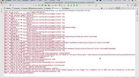 Setup Author and Public Magnolia instances for development