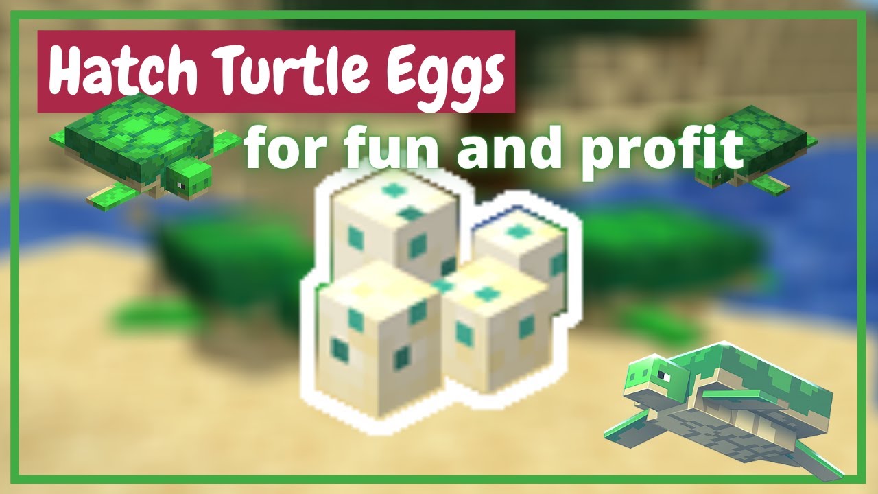 How to Hatch Turtle Eggs Minecraft - Bedrock, -
