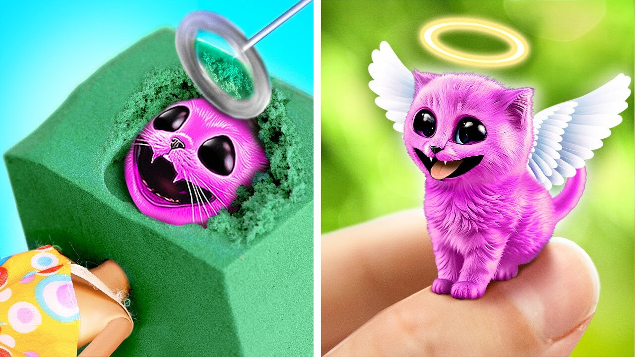 Encontrei um Gato Fantasma 😱 Gadgets e Truques Virais para Pets