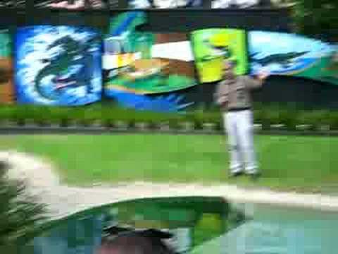 Eric the Crocodile