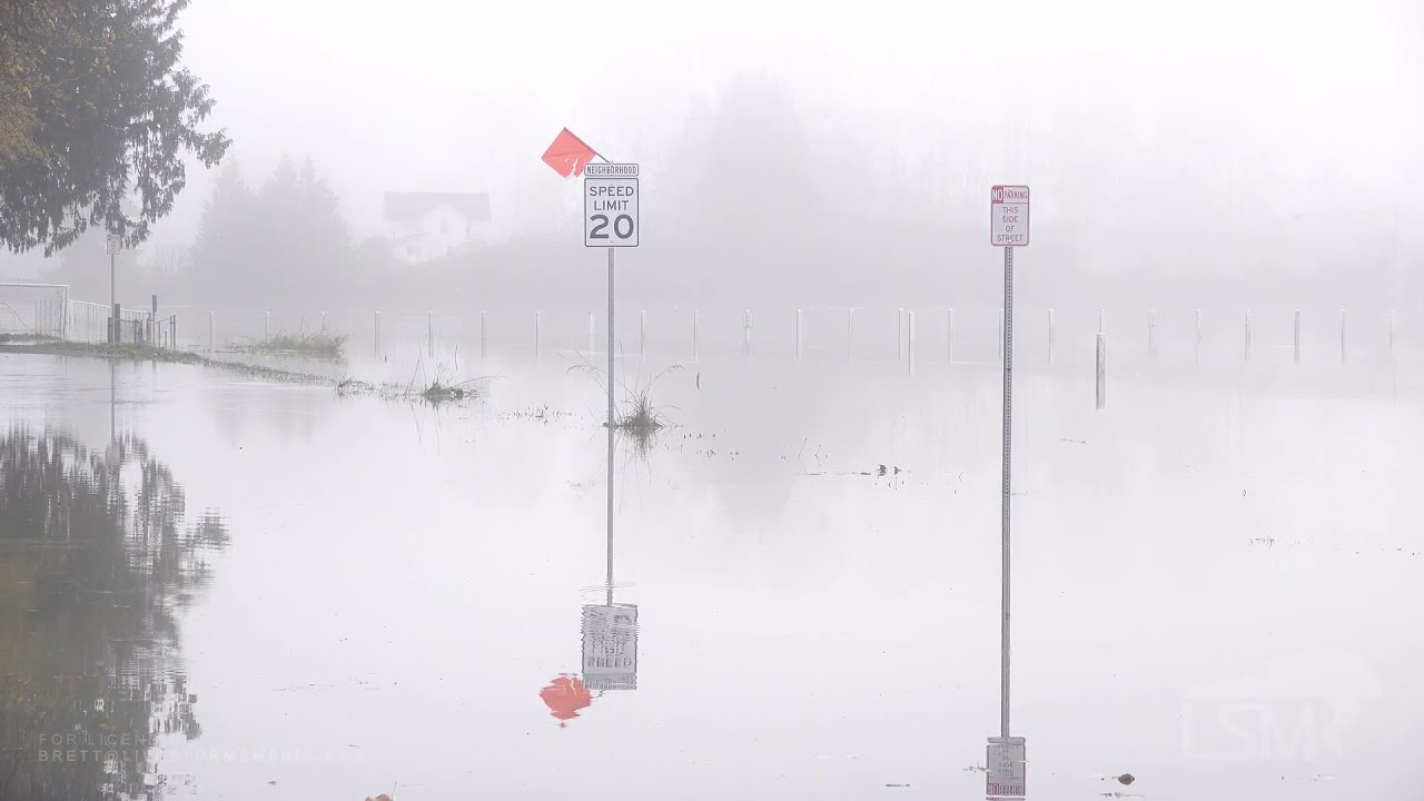 111321 Snohomish, WA River Flooding YouTube