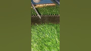 Restore Your Dull Hand Saw to Razor Sharp – No Power Tools Needed!"