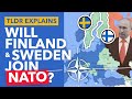 Are Sweden and Finland About to Join NATO? - TLDR News