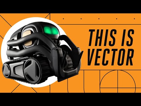 vector:-anki’s-tiny-robot-that-wants-to-hang