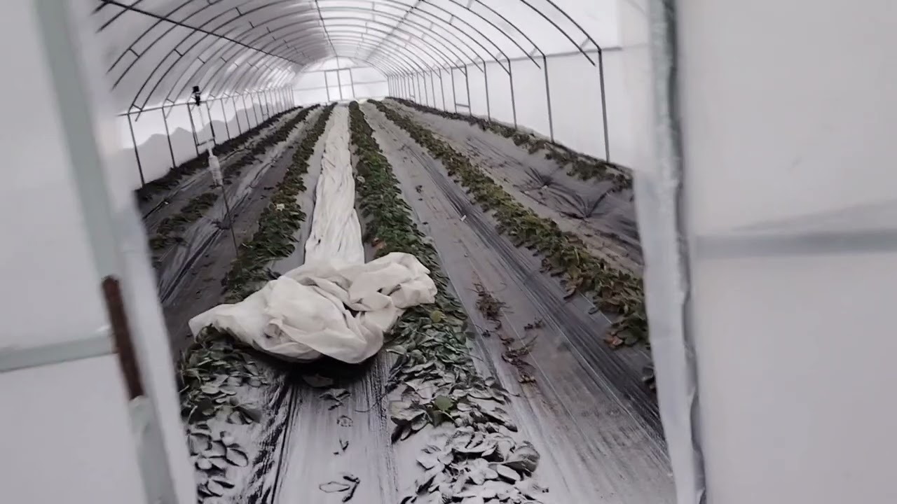 Замітає снігом. 