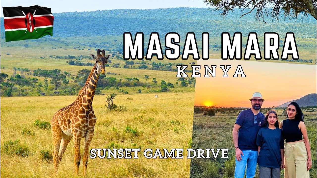 MASAI MARA - Sunset Game Drive | Kenya 🇰🇪